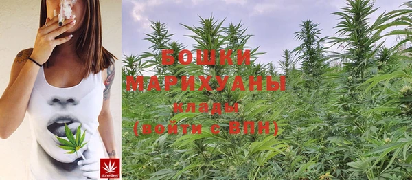 стафф Зеленокумск