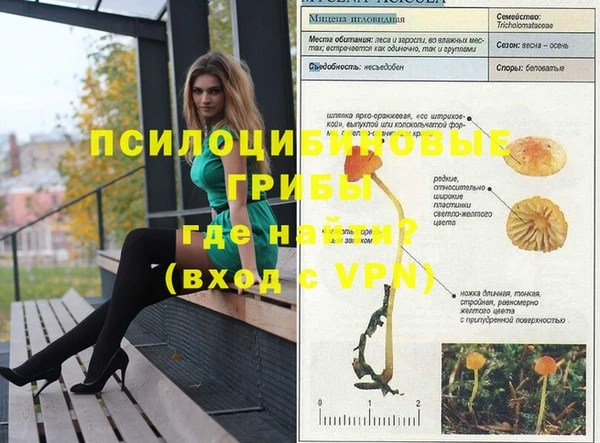 таблы Зеленодольск