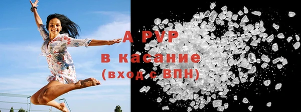 стафф Зеленокумск